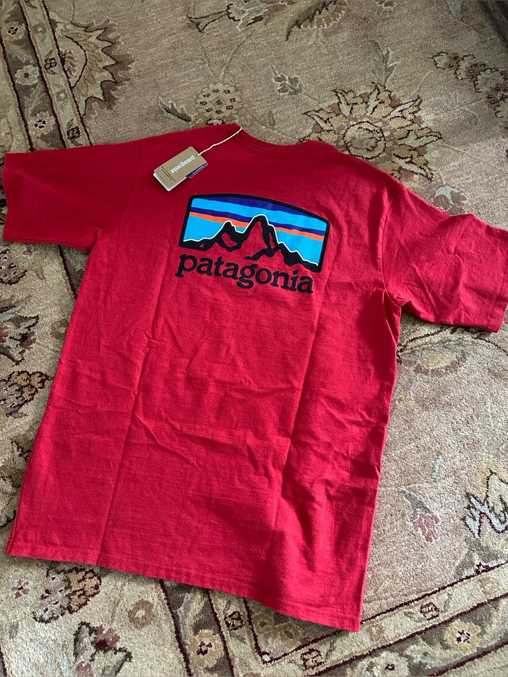 Patagonia Fitz Roy T-shirt NWT
